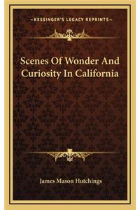 Scenes Of Wonder And Curiosity In California