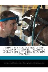 What's in a Horse? a View of the Anatomy of the Horse, Including a Look at Some of the Disorders That Can Arise