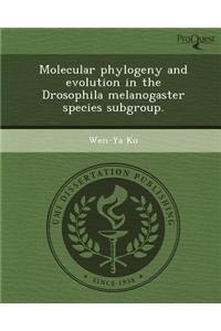 Molecular Phylogeny and Evolution in the Drosophila Melanogaster Species Subgroup