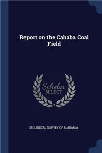 Report on the Cahaba Coal Field