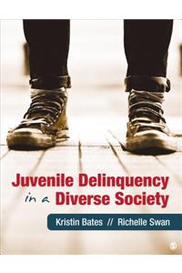 Juvenile Delinquency in a Diverse Society