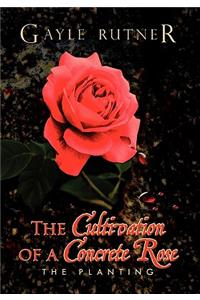 The Cultivation of a Concrete Rose