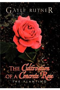 Cultivation of a Concrete Rose