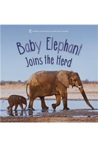 Baby Elephant Joins the Herd