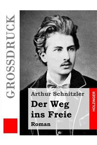 Der Weg ins Freie (Großdruck)