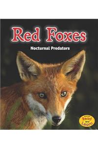 Red Foxes