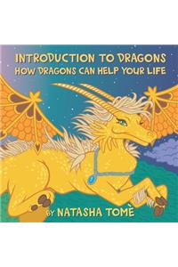 Introduction to Dragons