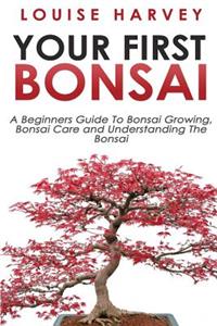 Your First Bonsai