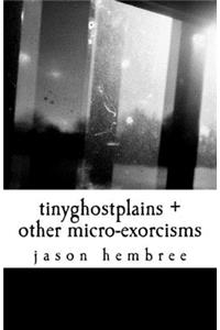 tinyghostplains + other micro-exorcisms