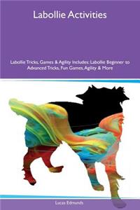 Labollie Activities Labollie Tricks, Games & Agility Includes