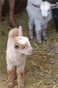 Baby Goats Animal Journal