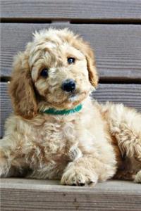 Simply Darling Goldendoodle Puppy Designer Dog Pet Journal