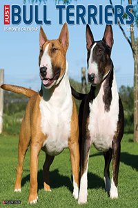 Just Bull Terriers 2023 Wall Calendar