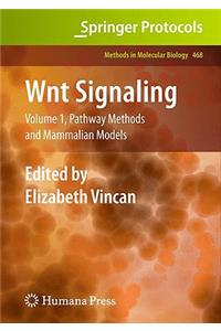 Wnt Signaling