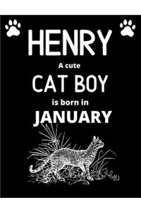 HENRY a cute cat boy is born in January