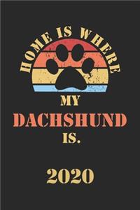 Dachshund 2020