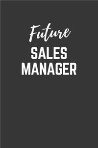 Future Sales Manager Notebook