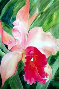 Orchid
