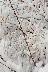 2020 Weekly Planner Winter Forest Snowstorm 134 Pages