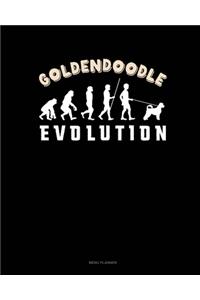 Goldendoodle Evolution