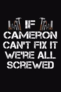 If Cameron Can't Fix It We're All Screwed