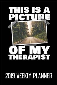 This Is a Picture of My Therapist