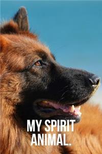 My Spirit Animal