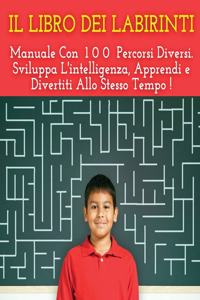 IL LIBRO DEI LABIRINTI - Manuale Con 100 Percorsi Diversi ! Sviluppa L'intelligenza, Apprendi e Divertiti Allo Stesso Tempo - Libro Per Bambini - (Italian Language Edition)