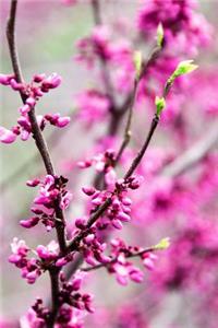 Touch of Spring - Lined Notebook with Margins