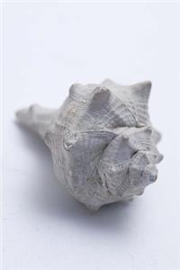 Shell Collection Journal