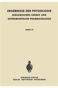 Die Nervöse Steuerung der Atmung