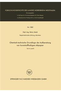 Chemisch-technische Grundlage der Aufbereitung von kunststoffhaltigem Altpapier