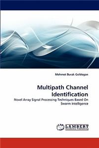 Multipath Channel Identification