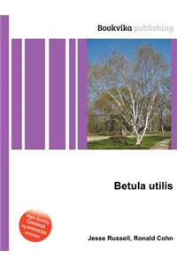 Betula Utilis