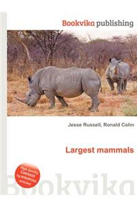Largest Mammals