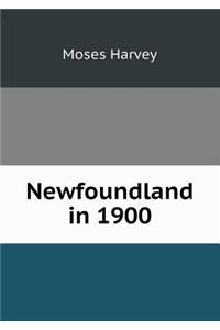 Newfoundland in 1900