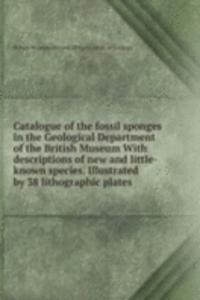 CATALOGUE OF THE FOSSIL SPONGES IN THE