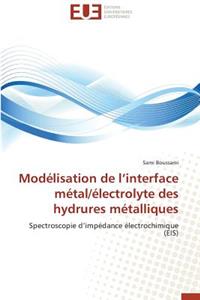 Mod�lisation de L Interface M�tal/�lectrolyte Des Hydrures M�talliques