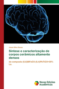 Síntese e caracterização de corpos cerâmicos altamente densos