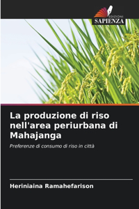 produzione di riso nell'area periurbana di Mahajanga