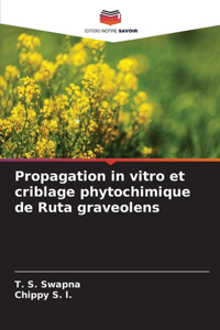 Propagation in vitro et criblage phytochimique de Ruta graveolens