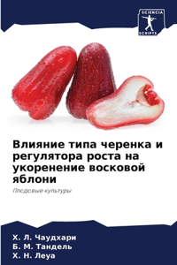 Влияние типа черенка и регулятора роста нk