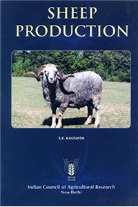 Sheep production