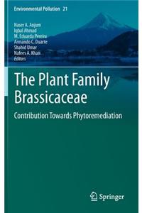Plant Family Brassicaceae