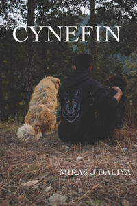 Cynefin