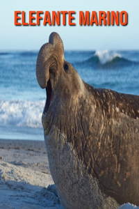 Elefante marino