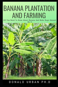 Banana Plantation and Farming