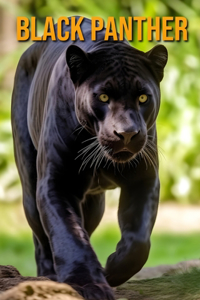 Black Panther