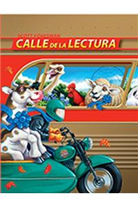 Reading 2011 Spanish Envision It! Handbook Grade 5