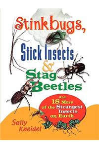 Stink Bugs, Stick Insects, and Stag Beetles